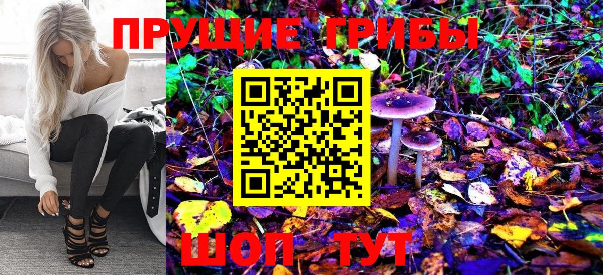 Вятские Поляны  Псилоцибиновые грибы Cubensis  Вход с VPN  Псилоцибиновые грибы MAGIC MUSHROOMS 
