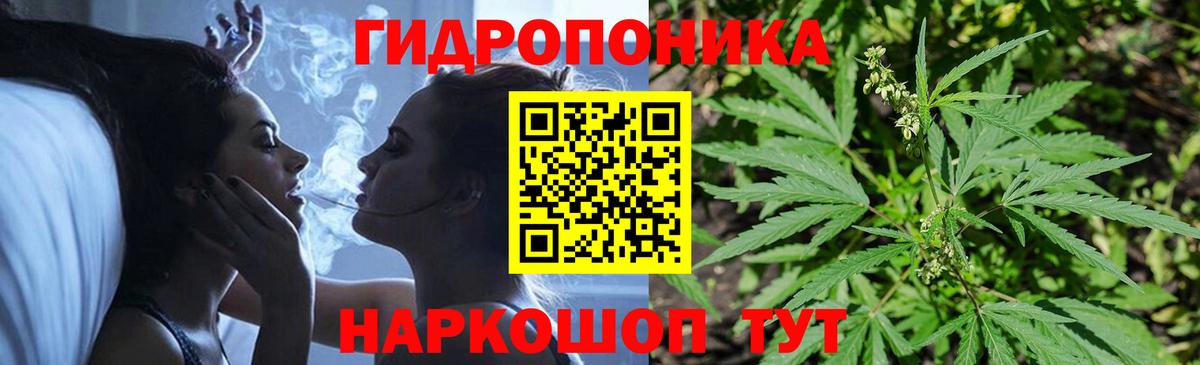 МАРИХУАНА конопля Вятские Поляны